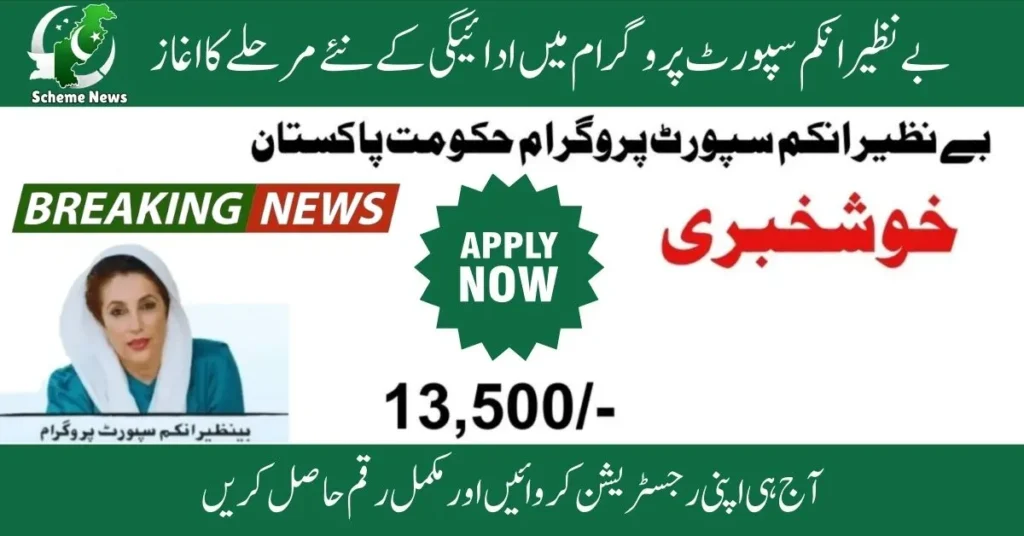 How to apply for Benazir Income Support Program online in 2025. Benazir Income Support Program online registration step-by-step guide. Benazir Income Support2025 registration form download and apply online