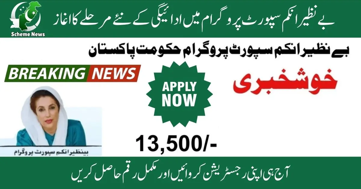How to apply for Benazir Income Support Program online in 2025. Benazir Income Support Program online registration step-by-step guide. Benazir Income Support2025 registration form download and apply online