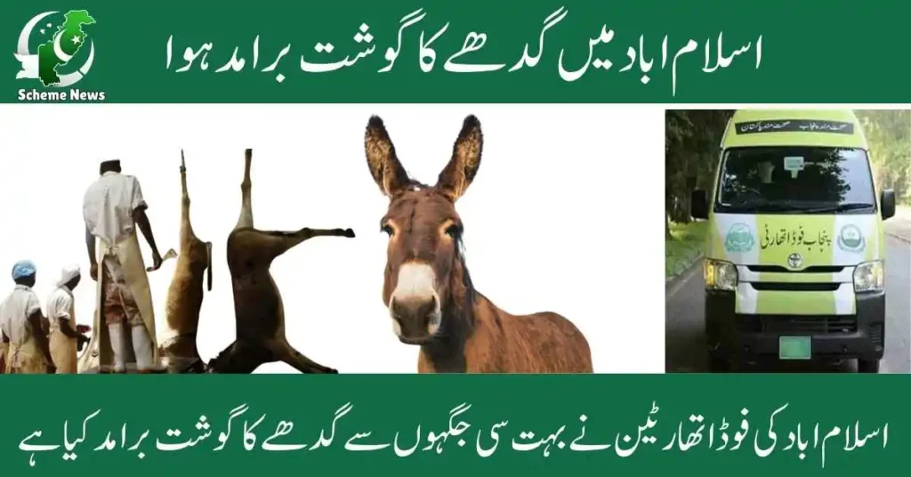Missing Donkeys Raise Concerns Over Meat Sold in Islamabad