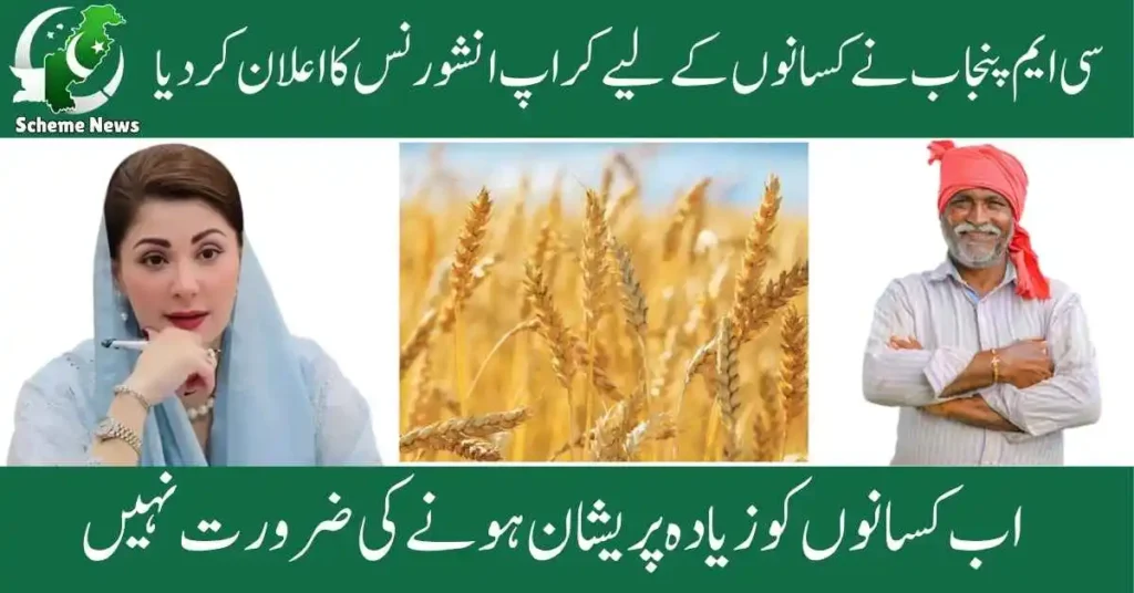 CM Punjab Crop Insurance Scheme 2025 – Full Guide for Farmers